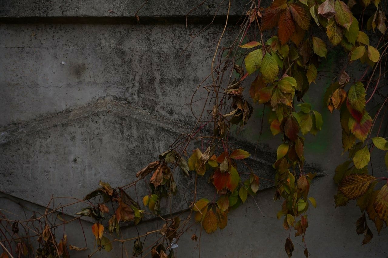 свет, пасмурно